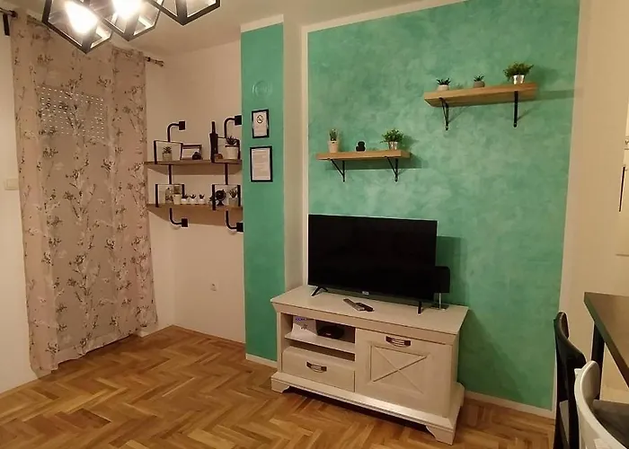 Daire Daniris Novi Sad