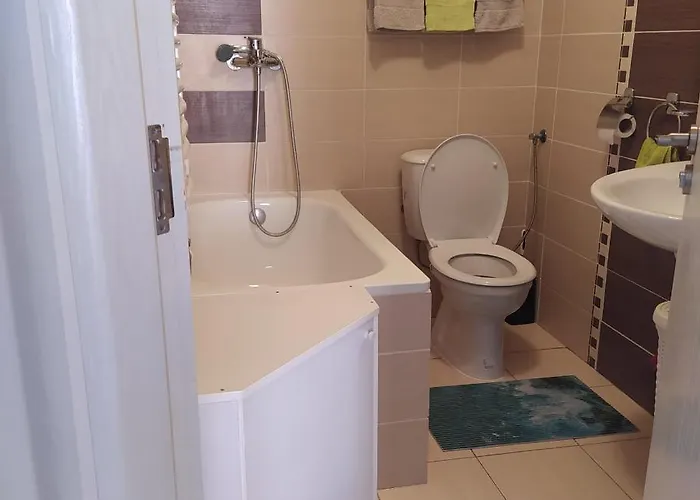 Daire Daniris Novi Sad